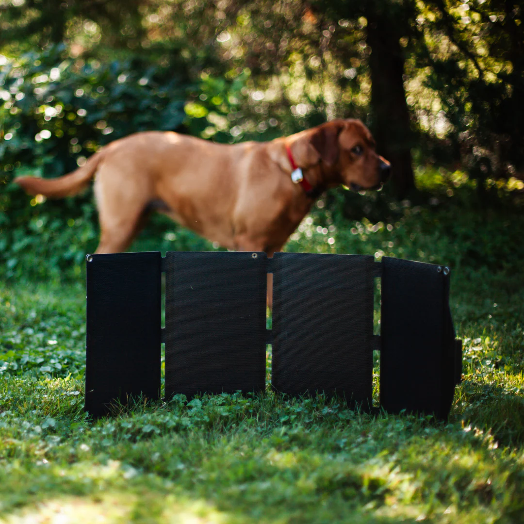 Transcend Sun-Watt Solar Panel Charger - Image 4